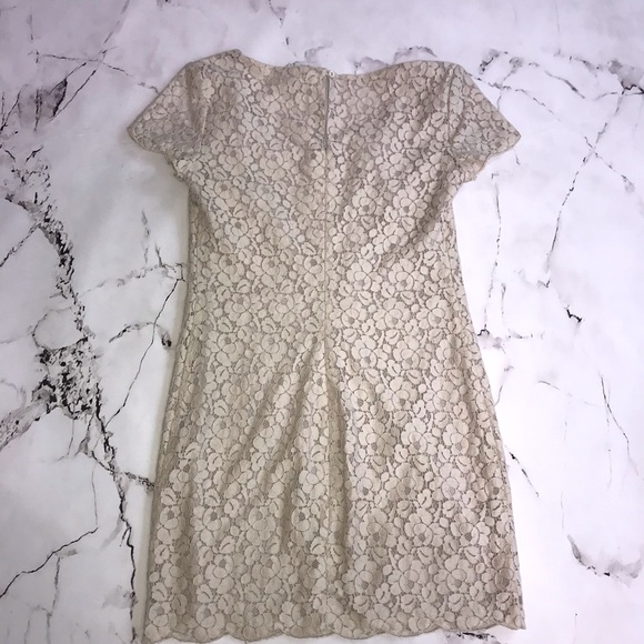 Aritzia Talula Oji Dress Floral Lace Fully Lined Size XS Short Sleeve Beige - Picture 5 of 6